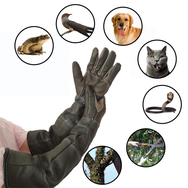 Pet Gloves Cowhide Leather Ant - огляд і ціна Pet Grooming Glove